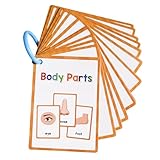 Körperteile Flash-Karten in Englisch – Set von Vokabelwörtern zum Lernen, pädagogisches Blitzset für Kleinkinder | Anatomie-Symbol-Diagramm
