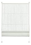 Gardinia Raffrollo zum Klemmen, Raffgardine, Transparent, Alle Montage-Teile inklusive, EASYFIX Raffrollo mit Zwei Bedienschienen, Weiß, 70 x 140 cm (BxH), 33922