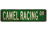 Straßenschild Camel Racing Camel Racing Fan Camel Racing Schild Kamel Metall Straßenschild 40,6 x 10,2 cm Home Cave Garage Bar Wanddekoration Metall Aluminium Schild