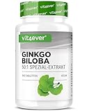 vit4ever Ginkgo Biloba 6000 mg - 365 Tabletten – Premium Extrakt: Mit Flavonglykoside + Ginkgolid-Terpenlactone & frei Ginkgolsäure - Laborgeprüft - Hochdosiert – Vegan