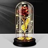 Ewige Rose im Glas, Die Schöne und das Biest Künstliche Blumen mit LED-Licht in Glaskuppel Rosen Geschenk für Mama Frauen Weihnachtstag Valentinstag Geburtstag Hochzeitstag Muttertagsgeschenk
