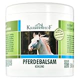 Kräuterhof® Pferdebalsam kühlend (500ml) – kühlendes Massagegel für müde Muskeln & Gelenke mit angenehm kühlender Wirkung, zur Pflege bei Muskelkater, Rückenverspannungen & Gelenkbeschwerden