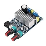 Bewinner Digitale Verstärkerplatine, TPA3116D2 Professionelle Leistungsverstärkerplatine, Subwoofer Verstärkermodul mit 100 W Bassausgang, Audio Stereo Verstärkerplatine für DIY Lautsprecher