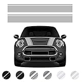 Motorhaube Doppelstreifen Aufkleber | für Mini Cooper R56 R55 R50 R53 R60 F56 F55 F54 F60 Countryman Clubman | blasenfrei (Grau matt)