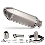 Motorrad-Auspuff 51mm Motorrad Auspuffrohr Schalldämpfer Für Yamaha XMAX300 Nvx Für CFMOTO 300NK Für Ducati Panigale V4(Silver)