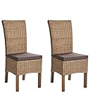 Esszimmerstuhl 2er-Set Rattangeflecht Extra-Kissen Boho-Stil Hohe Rückenlehne Esszimmer Wohnzimmer Braun Andes