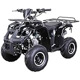 Actionbikes Motors Quad ATV S-8 Farmer 125 cc | 4-Takt 125ccm Motor bis ?? km/h - Pocket Quad - Miniquad - Benzinquad - Benzin Quads - Fahrzeug für Jugendliche (Schwarz)