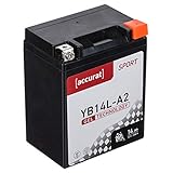 Accurat Motorradbatterie YB14L-A2 14Ah 200A 12V Gel Technologie Starterbatterie in Erstausrüsterqualität zyklenfest sicher lagerfähig wartungsfrei