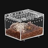 Jortmrd Terrarium Schnecken Mini Terrarium Spinne Reptil Fütterungsbox, Springspinne Terrarium Reptilien Fütterungsbox Geeignet für Insekten, Käfer (10x8x7cm)