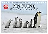 Pinguine - Watscheln im festlichen Kleid (Tischkalender 2023 DIN A5 quer), Calvendo Monatskalender