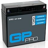 GP-PRO Gel-Batterie 12V 22Ah 51913 GT19BL-BS Motorradbatterie, wartungsfrei versiegelt vorgeladen ähnlich YT19BL-BS / 51814/52015