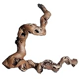 Rebwurzel groß, Länge: ca. 60cm