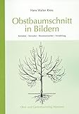 Obstbaumschnitt in Bildern: Kernobst - Steinobst - Beerensträucher - Veredlung (Arbeitshefte für die Gartenpraxis)