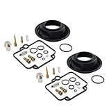 Three T FSFY 1 Satz Vergaser-Reparatursatz Vergaser-Umbausatz Ersatz-Motorrad-Reparatursatz für Aprilia Pegaso 650 Cube für BMW F650