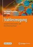 Stahlerzeugung: Integrierte Hüttenwerks- und Gasreinigungsanlagen