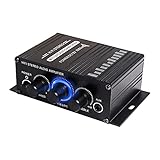 12V HiFi Stereo Audio Verstärker für Auto 2 Kanal HiFi Bass Audio Subwoofer Verstärker für Autos CD DVD MP3 Player Lautsprecher