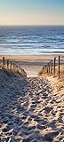 Türtapete selbstklebend Schöner Weg zum Strand III 90 x 200 cm - einteilig Türaufkleber Türfolie Türposter - Landschaft Natur Meer Sand Ostsee