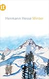 Winter (insel taschenbuch)