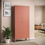 skølm Ituri Metallschrank Terrakotta – Kleiderschrank mit 6 Fächern & 2 Kleiderstangen – Garderobenschrank Flur 80 cm breit – Schlafzimmerschrank Industrial Style – Stahlschrank für Wohnzimmer & Büro