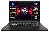 MSI Vector 17 HX, Gaming Laptop, 17,0" QHD+, Intel® Core™ i9 Prozessor 14900HX, 32 GB DDR5-5200 RAM, 1 TB, NVIDIA® GeForce RTX™ 4080, Windows 11 Home, QWERTZ Tastatur, A14VHG-1012