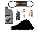 2EXTREME Inspektionsset groß Wartung 50 ccm 2Takt kompatibel mit Piaggio NRG TPH GILERA Typhoon 94-09