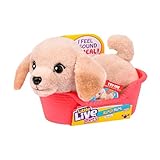 Little Live Pets My Really Real Puppy Minis – Buddy der Labrador, interaktiver Puppy mit 20+ Geräuschen und Reaktionen, inklusive Korb zum Präsentieren, niedliches Geschenk für Kinder (11 cm groß)