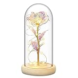 Die Schöne und das Biest Rose in Glaskuppel mit warmweißen LED-Lichtern, immerwährende Kristall-Rosenblüten, Geschenk für Sie zum Jahrestag, Valentinstag, Muttertag und Geburtstag, Hochzeit, Freundin
