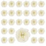 URROMA Chiffon Stoff Blumen für Handwerk, 30 Pcs Beige Perle Blume Applikationen für Kleidung Nähen auf Stoff Blumen für Stirnbänder DIY Handwerk Zubehör