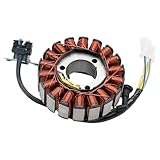 Areyourshop Lichtmaschine Stator fit für Honda CB 250 Twister/ABS/CBS / MC250 2016-2022