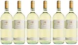 Baldo-direkt Frascati Fontana Candida Elite Magnumflasche DOC (6 X 1,5 L) Weißwein trocken