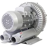 LVSEWOA Regeneratives Gebläse, einphasiger Hochdruck-Wirbel, Seitenkanalverdichter, Vortex-Gebläse zur Abwasserbelüftung, industrielle Vakuumpumpe, 250 W/0,34 PS