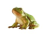 Bullyland 68401 - Spielfigur Laubfrosch, ca. 5,7 cm große Tierfigur, detailgetreu, PVC-frei, ideal als Tortenfigur und kleines Geschenk für Kinder ab 3 Jahren