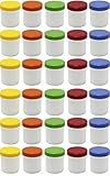 Frühes Forschen 30 Salbendosen hoch, 12ml Inhalt mit farbigen Deckeln