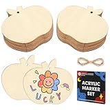20 Stück Holzanhänger Äpfel Geschenkanhänger Rückgängig Gemacht Apfel Anhänger mit Acrylmarkern Apfelform Holzornamente DIY Holzscheiben für Hochzeit Geburtstag Weihnachten Dekoration