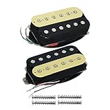 FLEOR Alnik 5 Gitarren-Tonabnehmer Zebra-Hals- und Steg-Humbucker-Tonabnehmer-Set