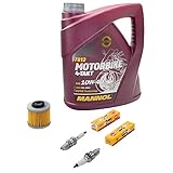 Wartungspaket Öl 4L + Ölfilter + Zündkerzen für Yamaha TDM 900 TDM900 RN08 RN11 RN18 Baujahr 2002-2013