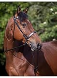 Riding World Trensenzaum Nasenriemen Französische Cob Schwarz