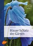 Blauer Schatz der Gärten