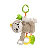 Fisher-Price GHL39 Kleines Spiel-Faultier, mehrfarbig