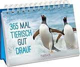 365 mal tierisch gut drauf!: Immerwährender Kalender zum Aufstellen | Lustige Tierfotografien und Zitate, die gute Laune machen (Immerwährende Kalender für jeden Tag)