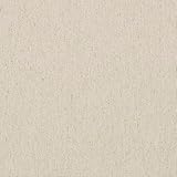 Kt KILOtela - Canvas Uni Dekostoff, Getöntem Segeltuch, Dekoration, Polster, Kissen, Vorhänge, Taschen,Tagesdecken, Tischdecken, DIY-Dekoration, 100 cm Länge x 280 cm Breite, Beige Leinen - 1 Meter