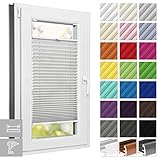 Estika Plissee nach Maß, Plissee mit Bohren, 23 Farben, 6 Profilfarben, Breite 30-129 cm, Höhe 50-149 cm, Jalousien innen, Faltrollos, Sicht- und Sonnenschutz, Plisseerollo für Fenster