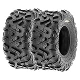 SunF A051 22x10-10 22x10x10 Power.II AT All-Terrain Reifen ATV UTV Geländereifen 6PR TL 47J, Satz von 2 Stück