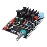Ntcpefy TA2020 Digital VerstäRker Audio Board 20Wx2 Stereo Leistungs VerstäRker Klasse T Sound Lautsprecher VerstäRker Heim Kino DC12V
