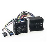 Radioanschlusskabel Umrüst-Adapter für BMW Auto Radio flache Pins (BM54) auf runde Pins (BM24) mit Erhalt CD-Wechsler/Navi