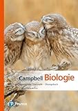 Campbell Biologie Gymnasiale Oberstufe: Das Übungsbuch (Pearson Studium - Biologie Schule)