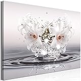 B&D XXL Acrylglasbild Blumen 1 Teilig Wandbild auf Acryl Glasbilder Kunstdruck Moderne Acrylglas Platte Wanddekoration Geschenke Heimdekoration Glasbild - Lilien Zen Spa Wasser b-C-0932-k-a