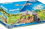 Playmobil Family Fun 70343 Löwen im Freigehege, Ab 4 Jahren