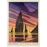 MyPuzzle Olympic National Park: Pelikan-Sonnenuntergang, Vintage Poster - Premium 1000 Teile Puzzle - MyPuzzle Sonderkollektion von Anderson Design Group