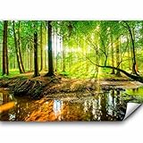 murando - Fototapete Premium-Vlies Wald 350x256 cm - Foto Tapete Schlafzimmer Wohnzimmer Moderne Vliestapete XXL Wandtapete Motivtapeten Bildtapete 3d Effekt Wand Dekoration - Sonne c-B-0241-a-a